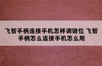 飞智手柄连接手机怎样调键位 飞智手柄怎么连接手机怎么用